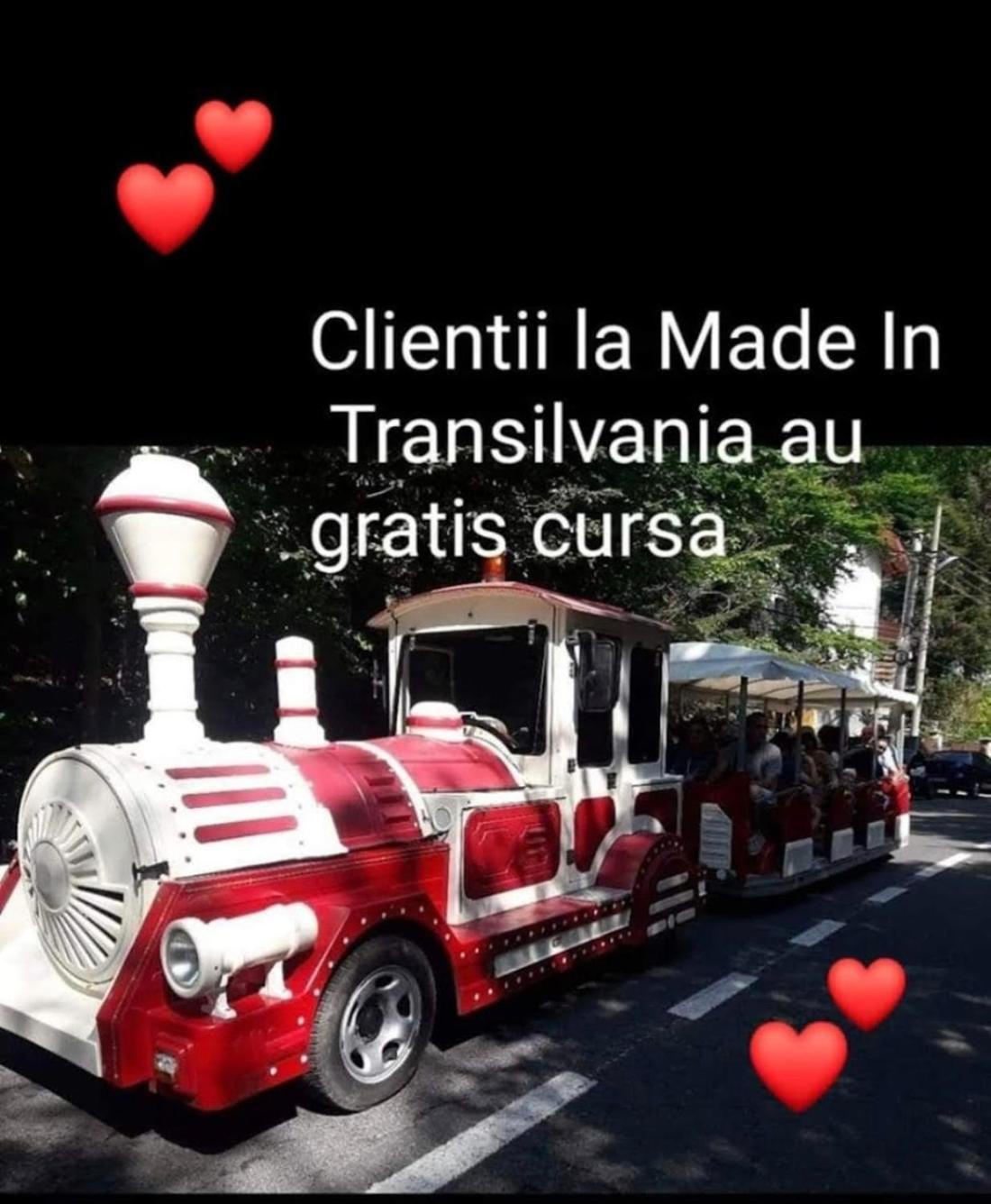 Made In Transilvania Sighişoara Exteriér fotografie